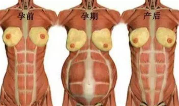 微信图片_20230227112706.png 微信图片_20230227112706.png