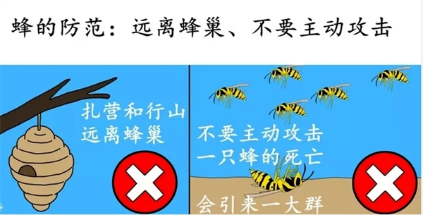 图片48.png